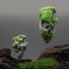 Load image into Gallery viewer, Floating Aquarium Islands